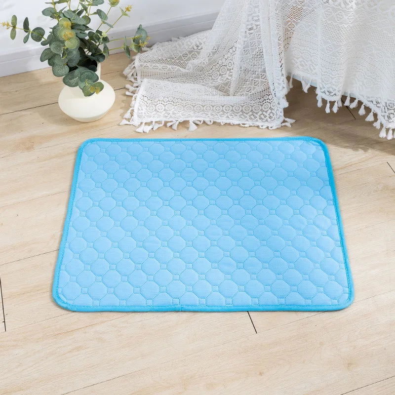 Reusable Dog Pee Pad & Training Mat - PETLUXE