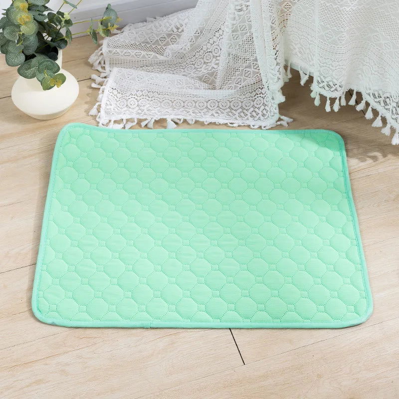 Reusable Dog Pee Pad & Training Mat - PETLUXE