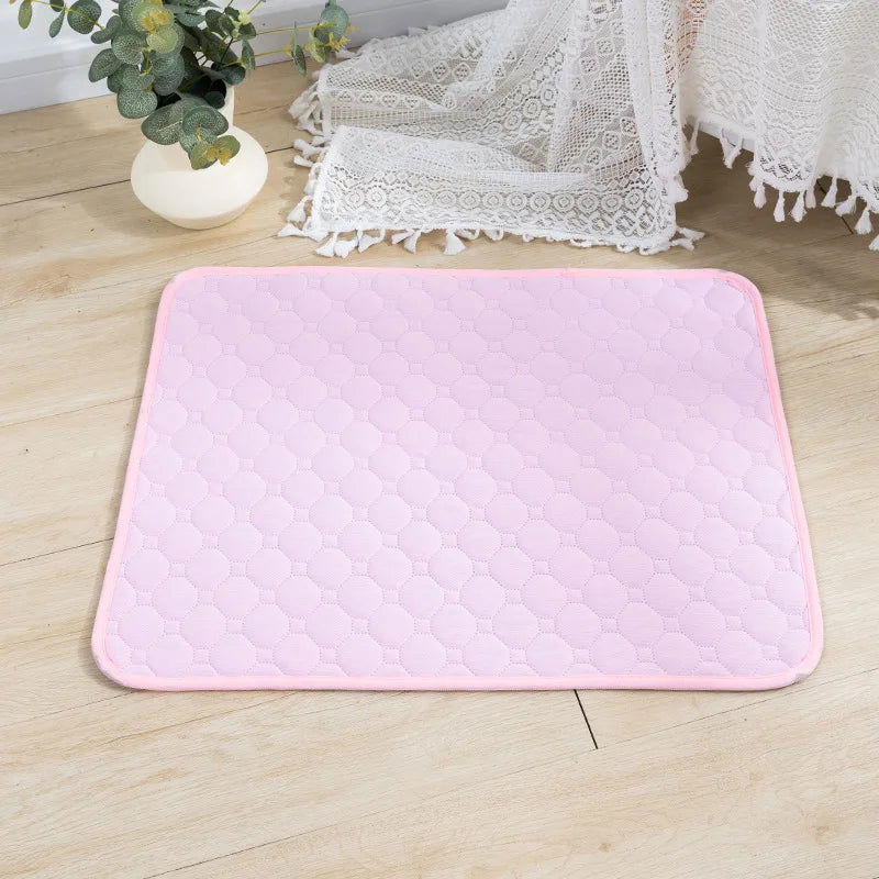 Reusable Dog Pee Pad & Training Mat - PETLUXE