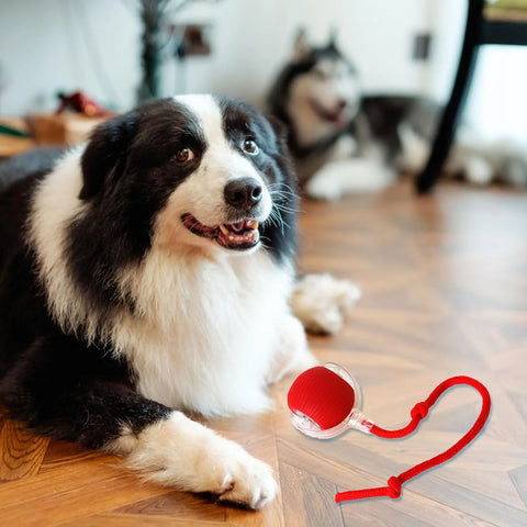 Interactive Smart Rolling Ball Toy for Cats & Dogs