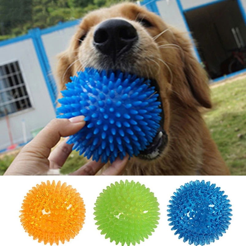 Squeaky Tooth Cleaning Ball - Perfect for Cats & Dogs - PETLUXE