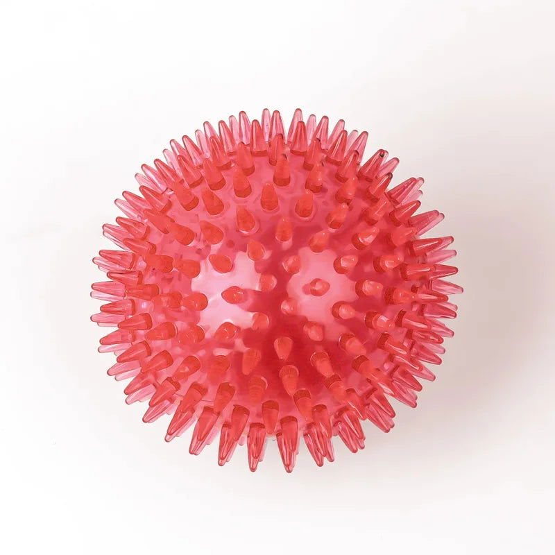 Squeaky Tooth Cleaning Ball - Perfect for Cats & Dogs - PETLUXE