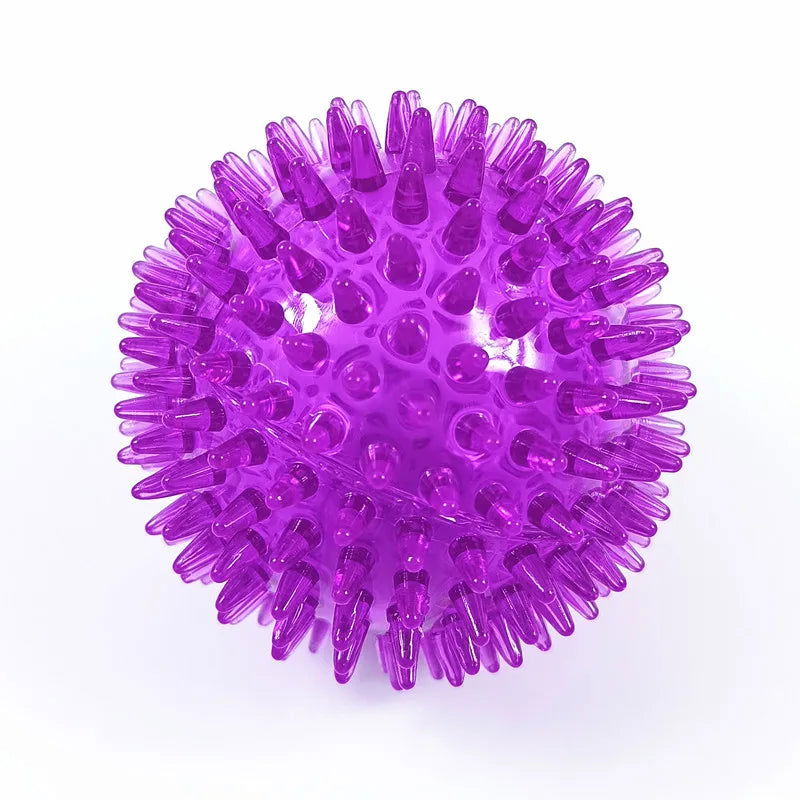 Squeaky Tooth Cleaning Ball - Perfect for Cats & Dogs - PETLUXE