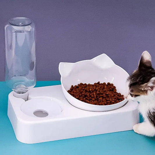 Tilted Pet Food Bowl with Automatic Water Feeder for Health & Comfort - PETLUXE
