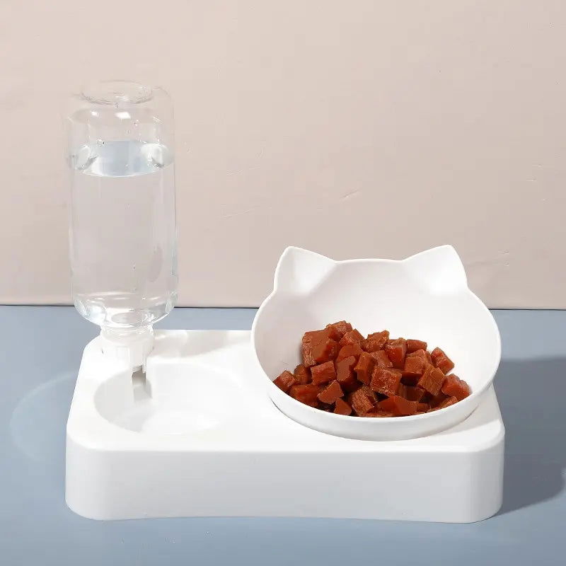 Tilted Pet Food Bowl with Automatic Water Feeder for Health & Comfort - PETLUXE