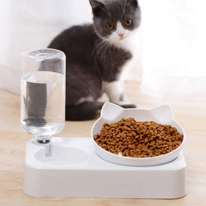 Tilted Pet Food Bowl with Automatic Water Feeder for Health & Comfort - PETLUXE