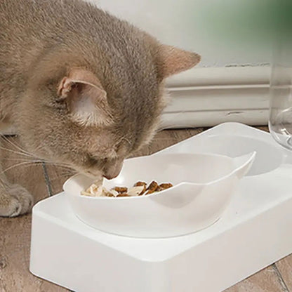 Tilted Pet Food Bowl with Automatic Water Feeder for Health & Comfort - PETLUXE