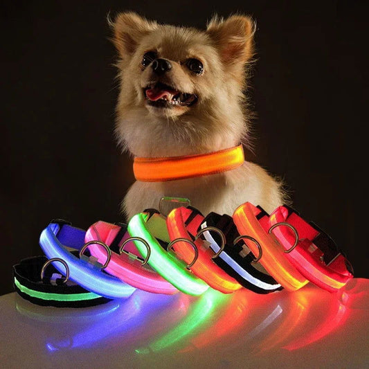 USB LED Dog Collar Night Safety Light - PETLUXE