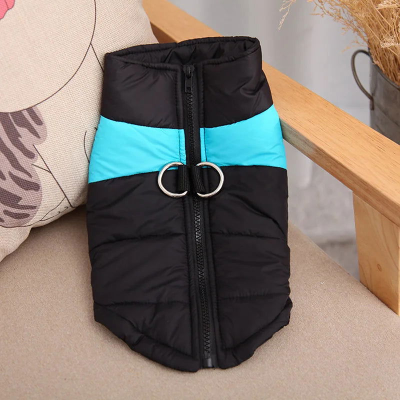 Warm Waterproof Winter Jacket for Small, Medium & Large Dogs - PETLUXE
