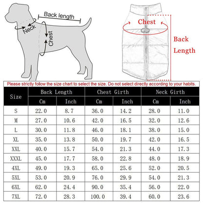Warm Waterproof Winter Jacket for Small, Medium & Large Dogs - PETLUXE